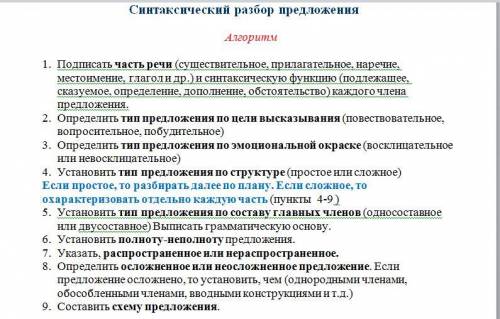 Сделать полный синтаксический разбор предложений по плану . вот предложения. Мы все решили сдавать б