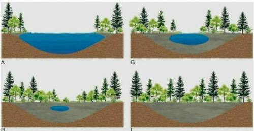 Объясните причины смены экосистем А Б В Г​