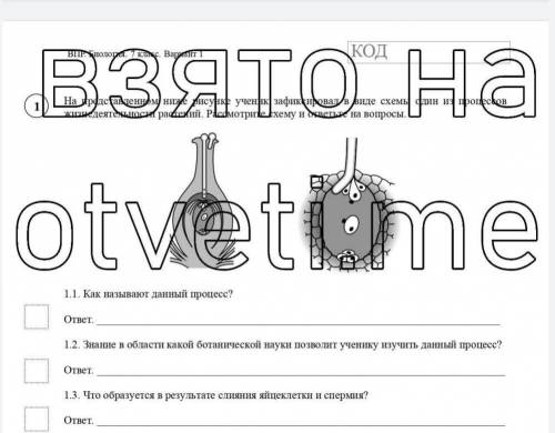 ВПР по биологии 6 класс. Задание 1 (задание 1.1, 1.2, 1.3 на фото) ​