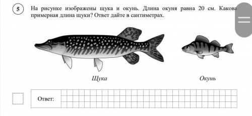 Кто решит большое очень благодарен​