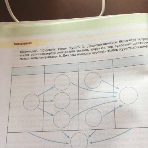 Тапсырма: Модельдеу. Қоректік торды құру. 1. Дөңгелекшелерге бірін-бірі қорек ететін организмдерді
