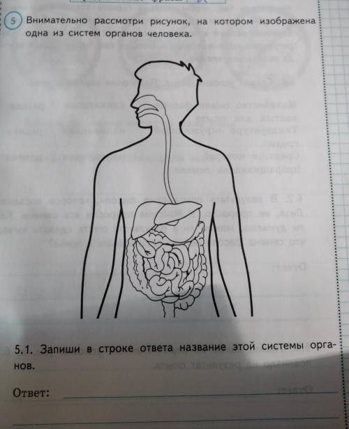 Продолжение фразы 2 5) Внимательно рассмотри рисунок, на котором изображенаодна из систем органов че