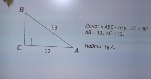 Геометрия 9 класс (еще вопрос, а что такое n/y?)) )​