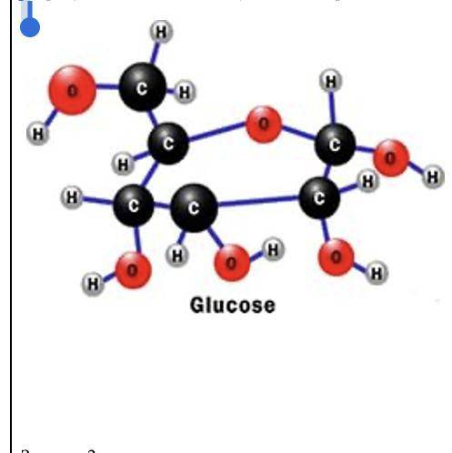 На рисунке показан модель углевода, определите какой углевод, запишите химическую формулу и функции.