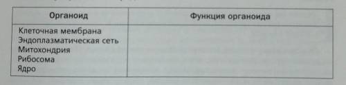 Какую функцию выполняют клеточные органоиды? Кратко. Заранее благодарю! ​