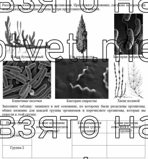 не могу разобратьсявпр по биологии 8 класс​