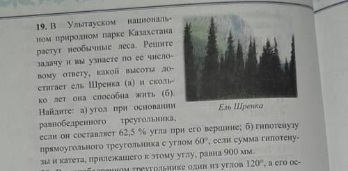 19. в Улытауском националь- ном природном парке Казахстанарастут необычные леса. Решитезадачу и вы у