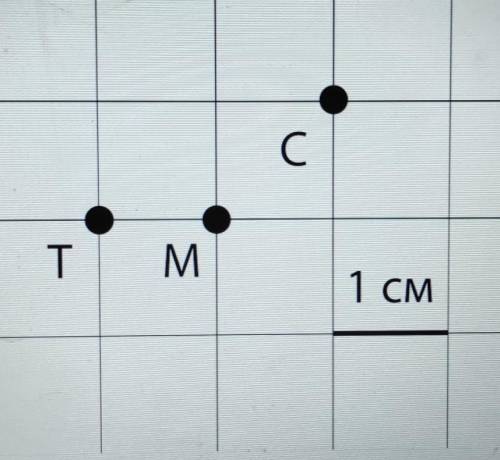 Найди расстояние от точки C до прямой TM ​