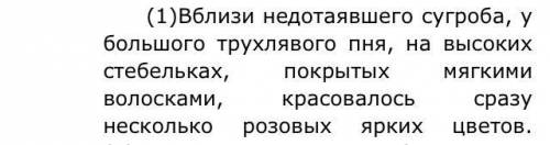 Определите стилистическую принадлежность слова «красовалось» из предложения 1, запишите. Подберите и