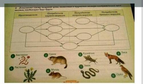 Дополните схему пищевой цепи, поместив в кружочки номера изображённых организмов, поедающих друг дру