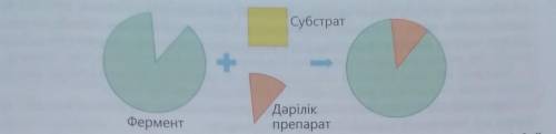 Объясните угнетающее действие лекарств на активность ферментов. Повредит ли использование ферментов