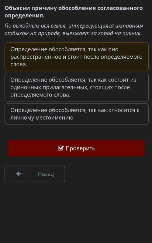 Объясни причину обособления согласованного определения. По выходным вся семья, интересующаяся активн