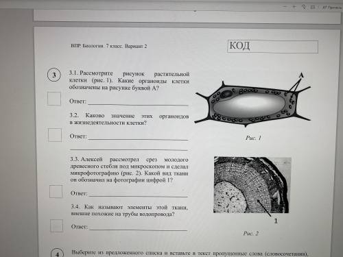 решить впр по биологии, 7 класс по программе 6 класса. В инете нет ответов