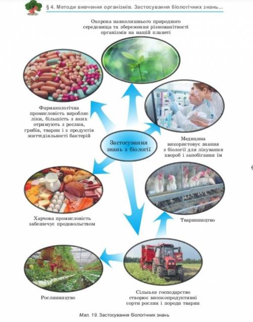 Написати в зошит застосування біологічних знань в житті людини використовуючи малюнок 19 10-12 речен