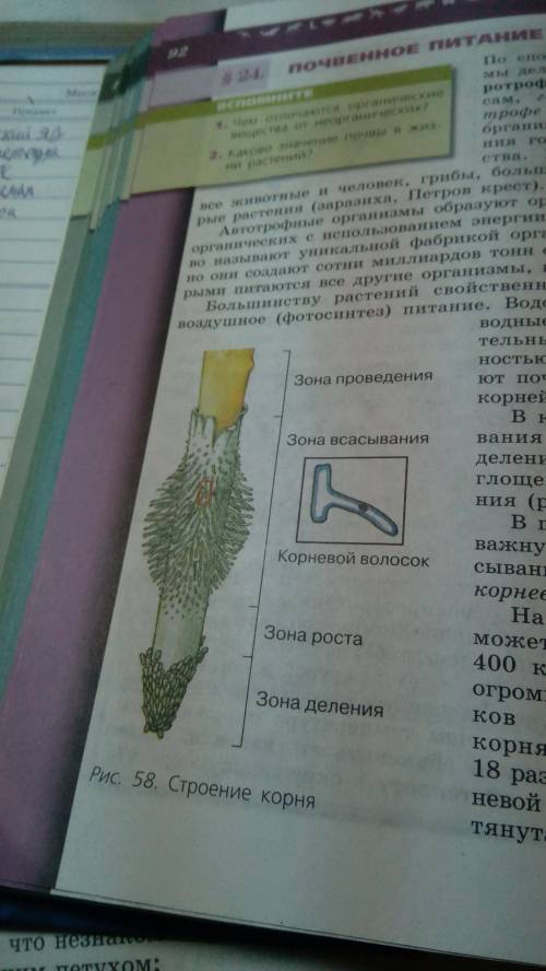 Можно таблицу по этому рисунку.