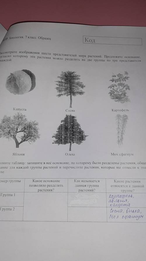 Рассмотрите изображения шести представителей мира растений. Предложите основание,согласно которому э