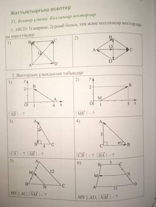 1)Тең және коллинеар векторларды тап; 2)Вектордың ұзындығын тап.