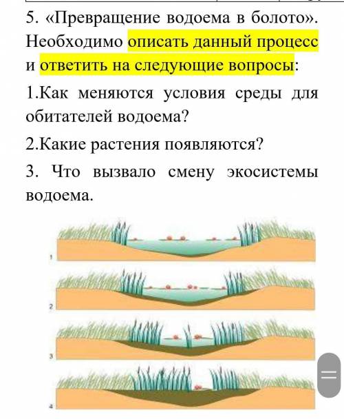 5. «Превращение водоема в болото». Необходимо описать данный процесс и ответить на следующие вопросы