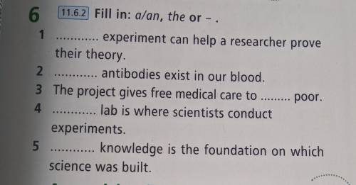 Fill in: a/an, the or– . 1 .... experiment can help a researcher prove their theory 2 ............ a