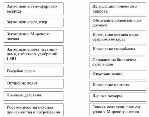 С рисунка изобразите схему взаимодействий между компонентами окружающей среды, процессами и явлениям