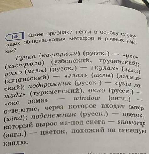 Какие признаки легли в основу следующих общеязыковых метафор в разных языках?​