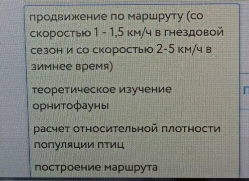 Укажите этапы организации орнитологического исследования. Заполните пропуски выбором вариантов.1.Пер