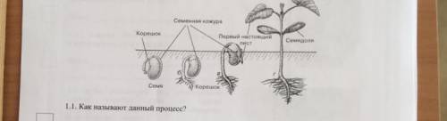 ответьте Какой метод позволит ученику выяснить,что для данного процесса нужно тепло