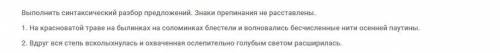 Русский выполнить синтаксический разбор 2 предложений