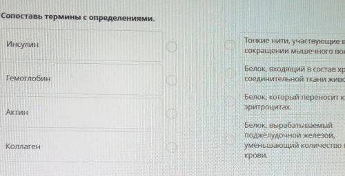 Сопоставь термины с определениями. ИнсулинТонкие нити, участвующие всокращении мышечного волокна.ПАГ