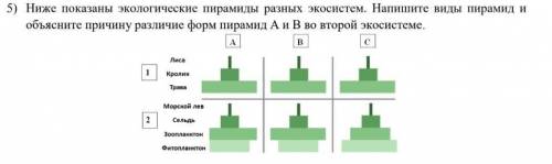 Ниже показаны экологические пирамиды разных экосистем . Напишите виды пирамид и объясните причину ра