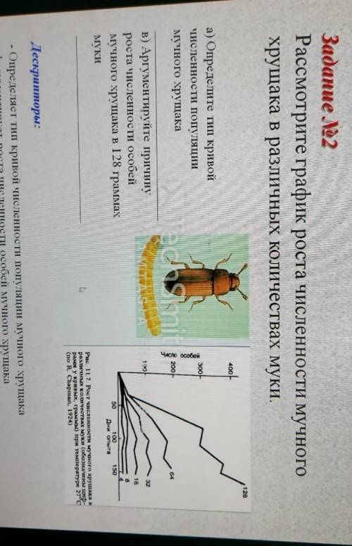 Задание2. Рассмотрите график роста численности мучного хрущака в различных колчиствах муки​