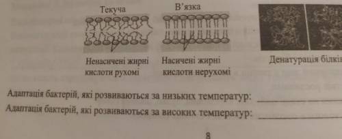 Адаптація бактерій, які розвиваються за низьких температур:Адаптація бактерій, які розвиваються за в