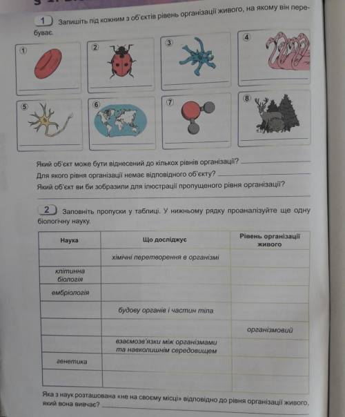 ІВ!До ть будь ласка!У 1 завданні малюнки не виконувати,а записати номери.​