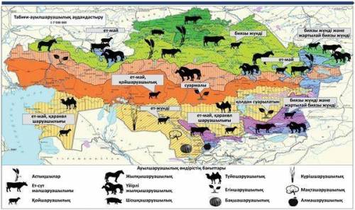 Берілген картаны талдай отырып, Қазақстан аймақтарындағы ауыл шаруашылықтарының даму заңдылығын түсі