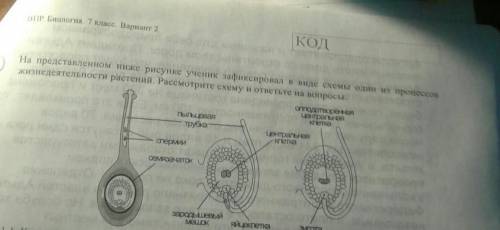 как называют данный процесс? 1.2 знание области какой ботанической науки позволит ученику изучать да