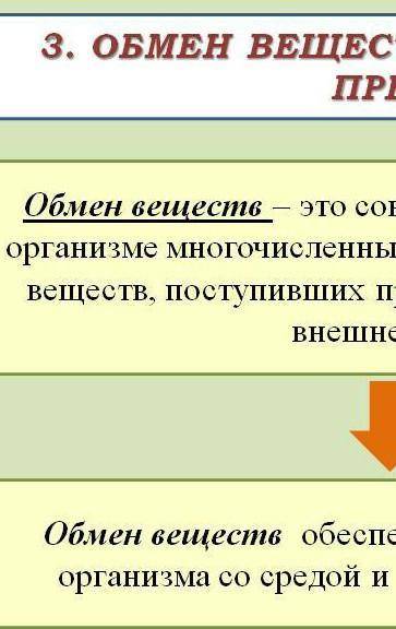 Заполните таблицу Особенности обмена веществ и превращения энергии у живых организмов