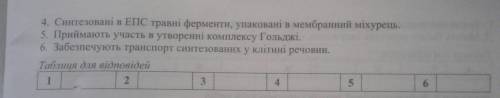 Установіть відповідність між малюнками і тверджиннями.