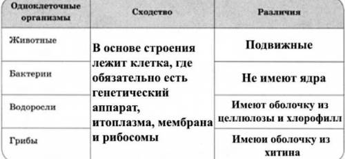 Составьте таблицу сходства и различия одноклеточных организмов​