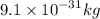 9.1 \times {10}^{ - 31} kg