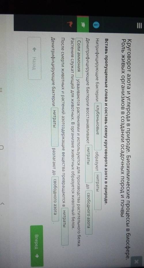 Вставь пропущенные слова и составь схему круговорота азота в природе.Нитрифицирующие бактерии образу
