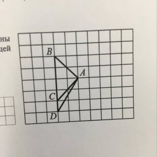 На клетчатой бумаге с размером клетки 1х1 нарисован треугольник ABC и ACD. Найдите длину их общей вы