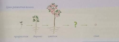 Скажите что будет где стоит И можно рисунок показать просто я совсем запуталась:3​