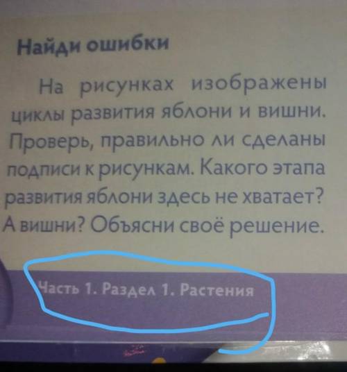 Найди ошибку на рисунках изображены​