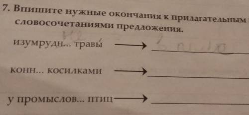 7. Вишите нужные окончания к прилагательным и составьте со словосочетаниями предложениизумрудн... тр