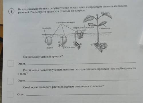 решите по биологии за 6 класс​