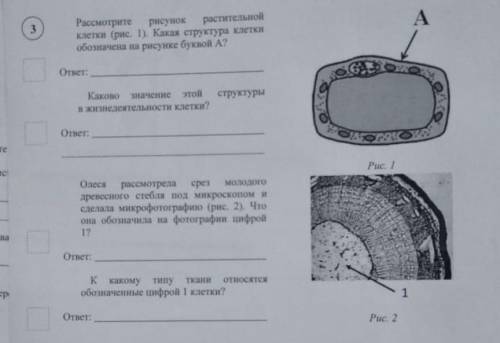 только правильно если не правильно тогда баан​