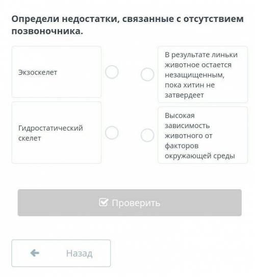 Определи недостатки, связанные с отсутствием позвоночника.​