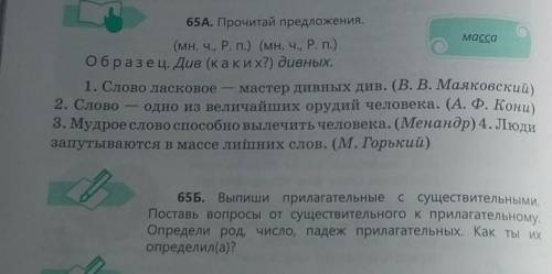 Выпиши прилагательные с существительными вопросы от существительных и прилагательных Определи род чи