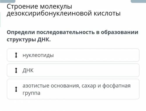 Определи последовательность в образовании структуры ДНК​