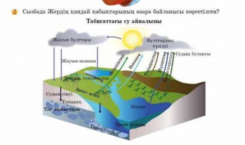 31 бет жаратылыс тану 6 сынып 2 тапсырма ​